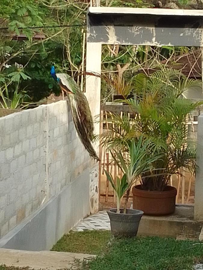 坦加拉Peacock Garden住宿加早餐旅馆 外观 照片